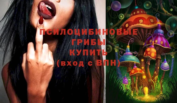 СК Абинск