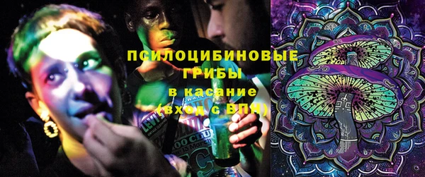 круглые Алзамай