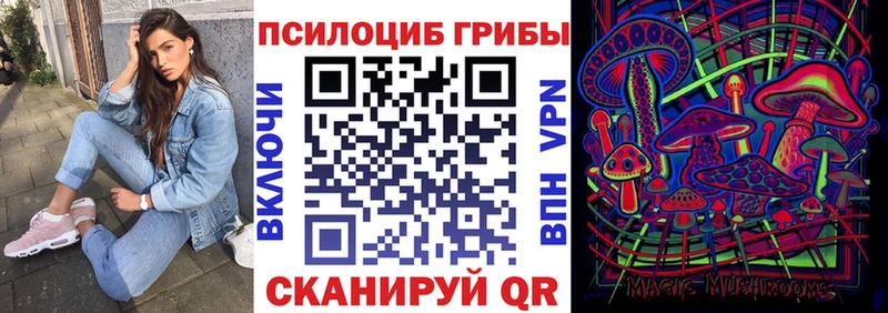 цена наркотик  Элиста  Псилоцибиновые грибы мухоморы 