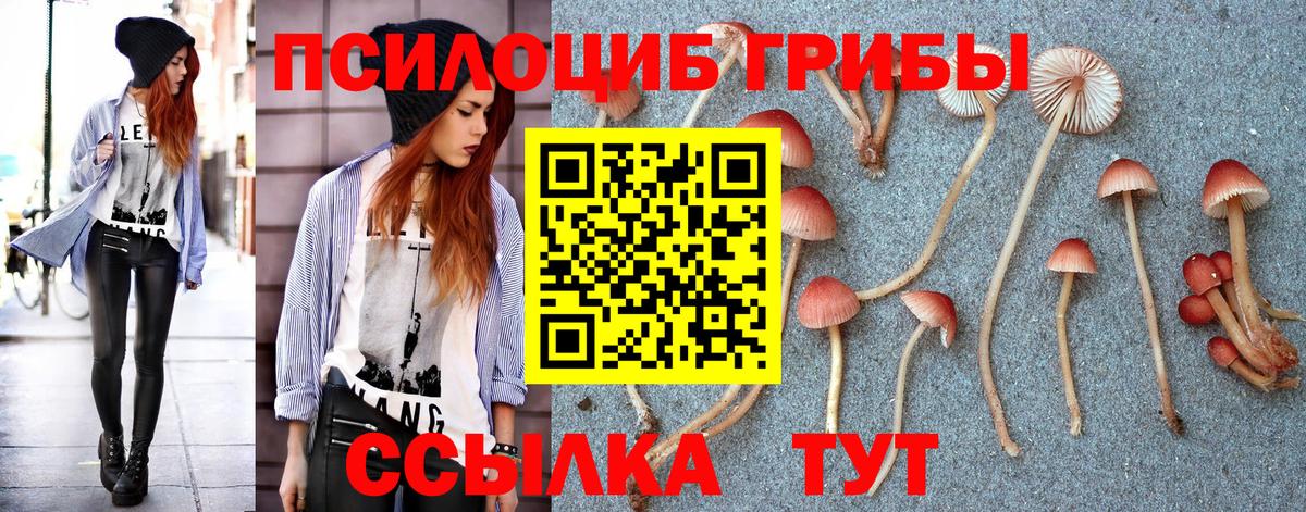 Псилоцибиновые грибы Psilocybine cubensis Элиста