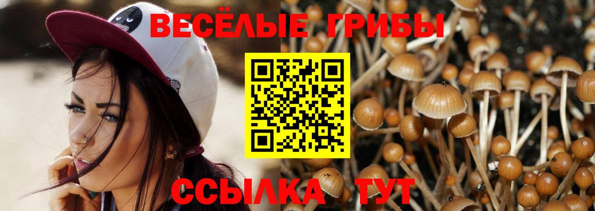 Псилоцибиновые грибы прущие грибы  Вход с VPN  Галлюциногенные грибы Psilocybine cubensis  Элиста 